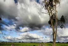 必一运动：誇德拉多因傷缺席國米對薩索洛的意甲比賽.